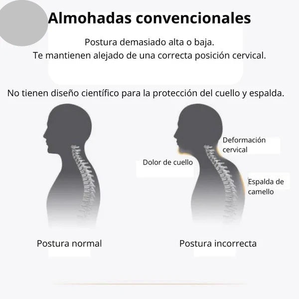 Almohada Ortopédica 2X1 + Envio Gratis
